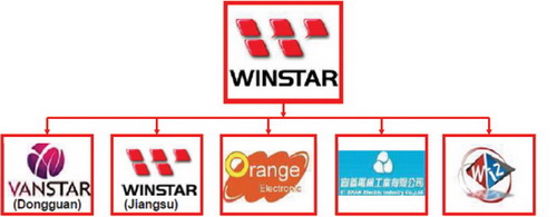 Структура группы компаний Winstar 